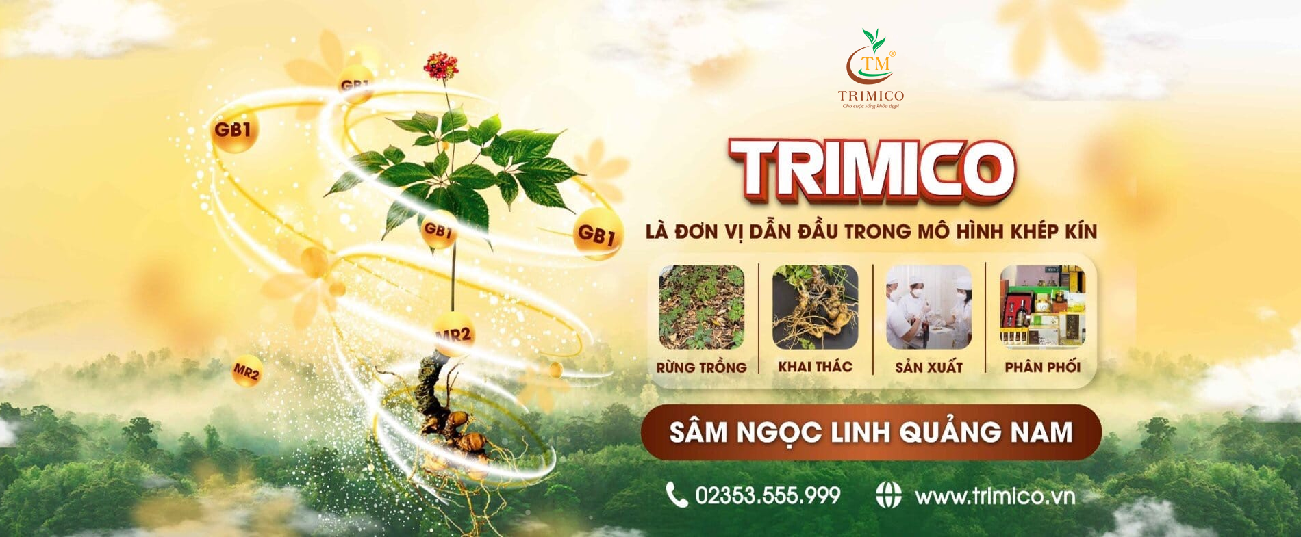01 trang chu 02