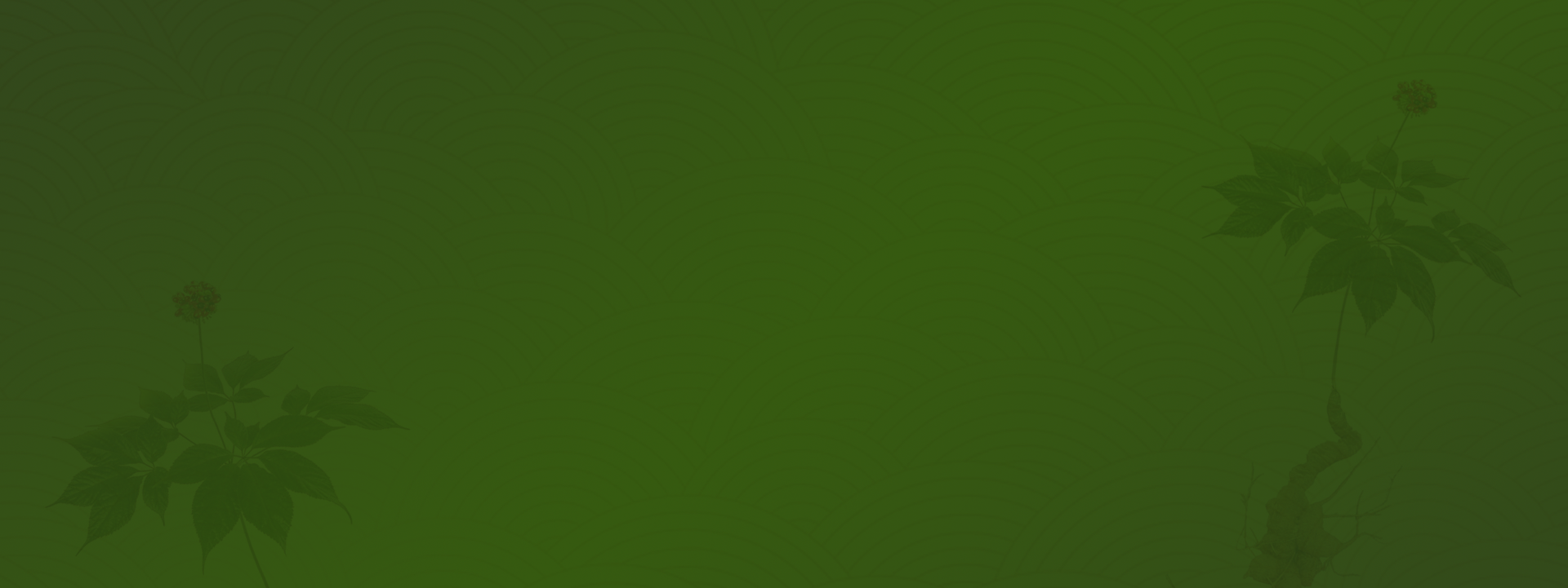 bg 1