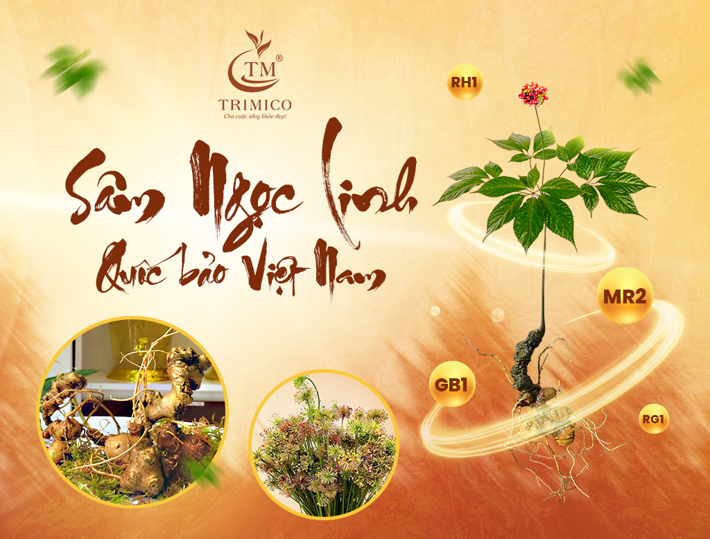 snl quoc bao vn 01