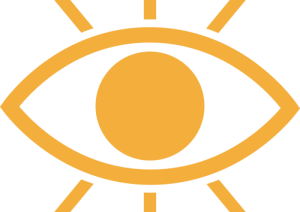 vision